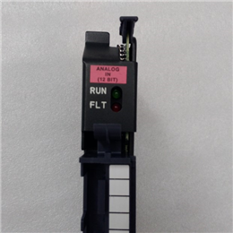  1336F-BF100C-AJ​-DS NSFP 1336FBF100CAJDS