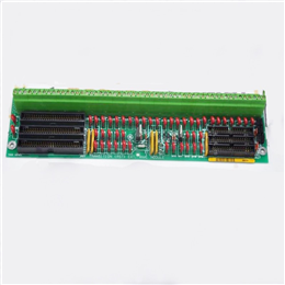 DS200FSAAG1ABA 电源放大器