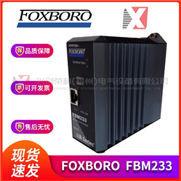 1C31116G04 WESTINGHOUSE 全新现货