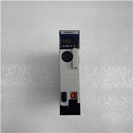 1761-L16BWA
