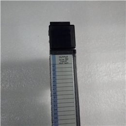 IC694DNM200-BB | GE | 设备网主模块