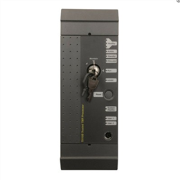 ICS TRIPLEX T8110B 处理器