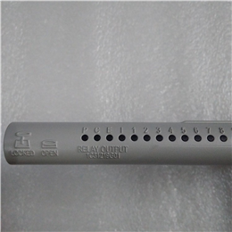 1C31161G02