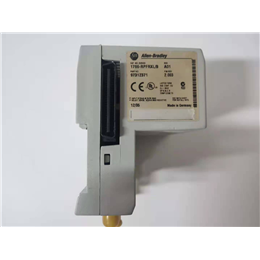 DS200STBAG1A   GE