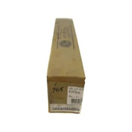 GENERAL ELECTRIC 9F62DCB200 保险丝