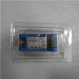 阀  R40K02MONSP2