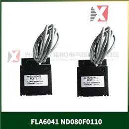 7381A09G01  WOODWARD 全新现货