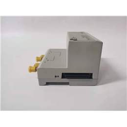 DS200SSBCG1A   GE