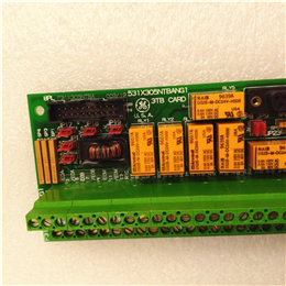 IC200MDL650  GE  数字输入模块