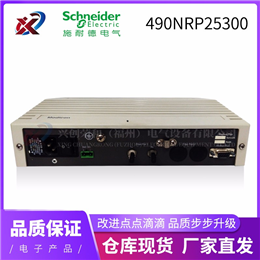490NRP25300