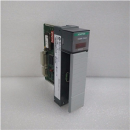 1336F-BRF100-AA-EN-L6